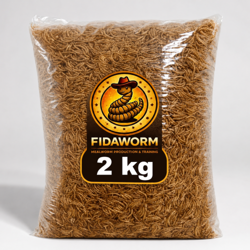 efc9d9ff-e717-47cb-8c44-87b0d5cab0ed